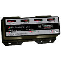 Dual Pro Ps4 Auto 15a - 4-Bank Lithium/Agm Battery Charger