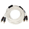 Fusion Rca Cable - 2 Channel - 6'