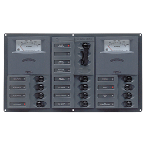 Bep Ac Circuit Breaker Panel W/ Analog Meters - 12sp 2dp Ac230v Stainless Steel Horizontal